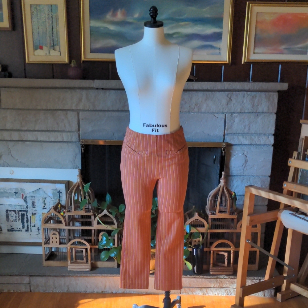 Anthropologie Slim Women's Slacks Pants Autumn Orange with Ticking Stripes Sz 6